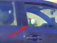 118. Cat in a car on 90 East