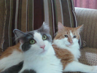 164-165. Izzy & Titus